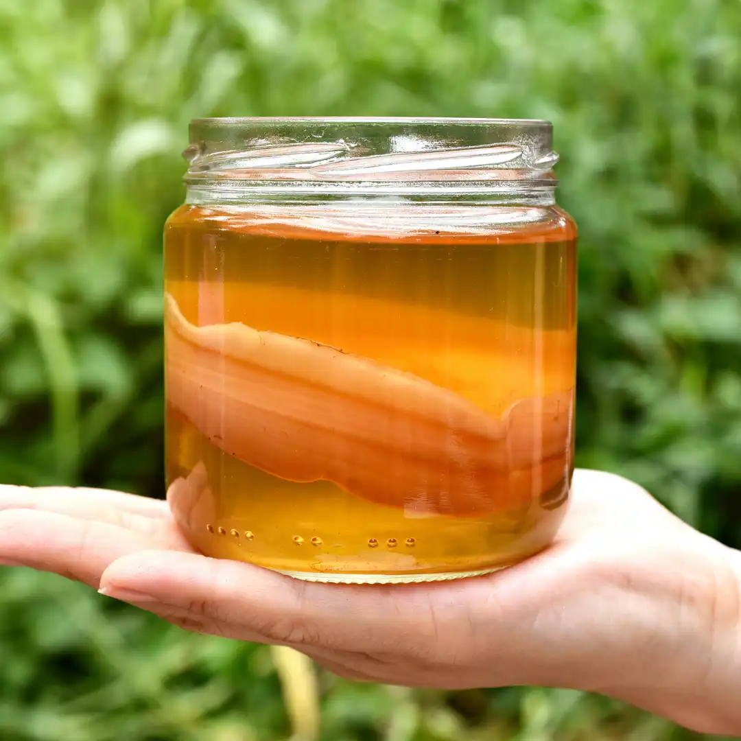 Kombucha