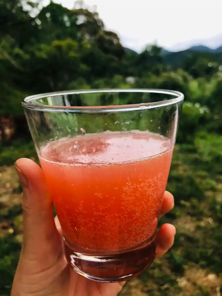 Refrigerantes Naturais